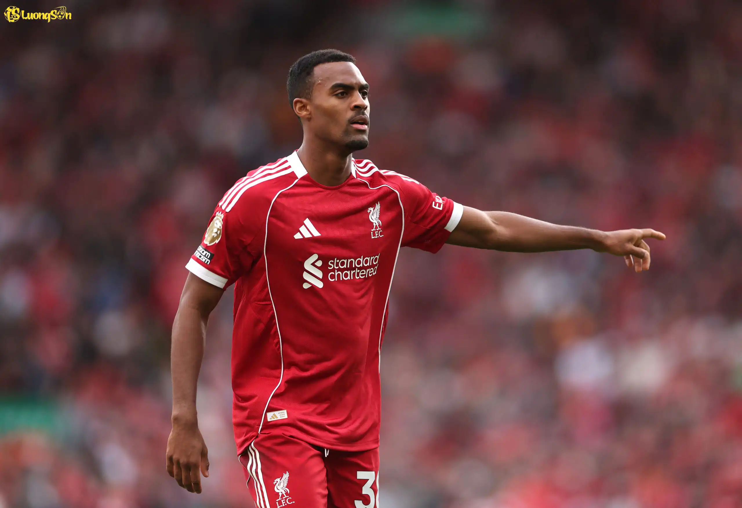 Gravenberch đang được đánh giá là tiền vệ hàng đầu Ngoại hạng Anh Gravenberch đang được đánh giá là tiền vệ hàng đầu Ngoại hạng Anh