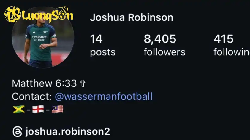 Anh đã để cờ Malaysia trong phần tiểu sử của mình